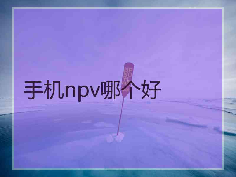 手机npv哪个好