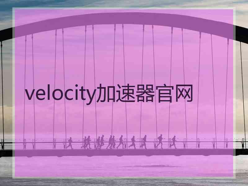 velocity加速器官网