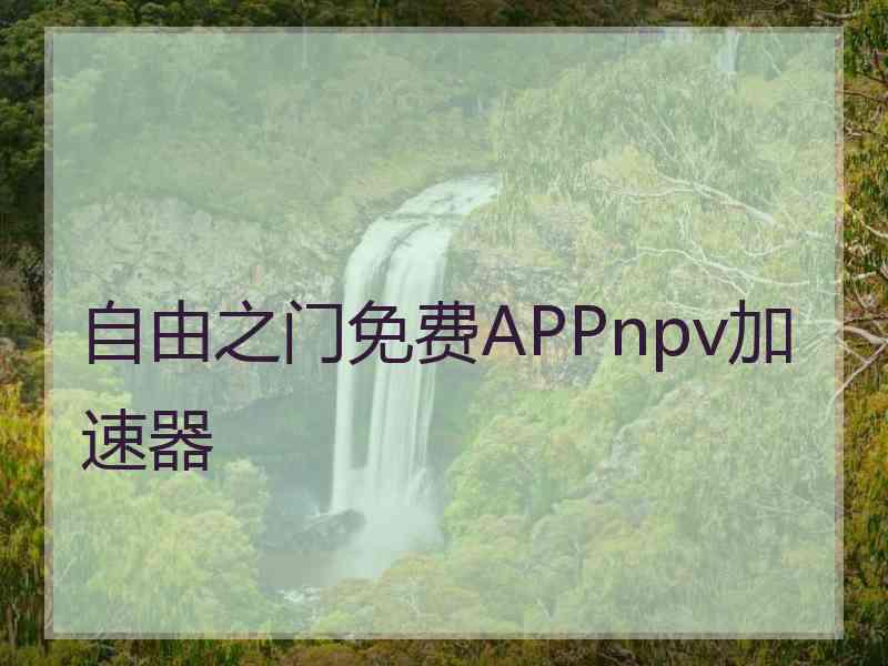 自由之门免费APPnpv加速器