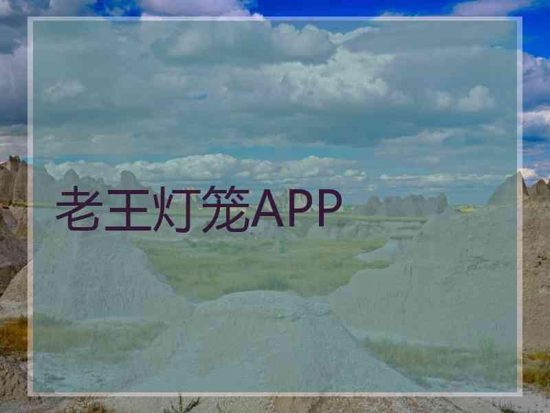 老王灯笼APP