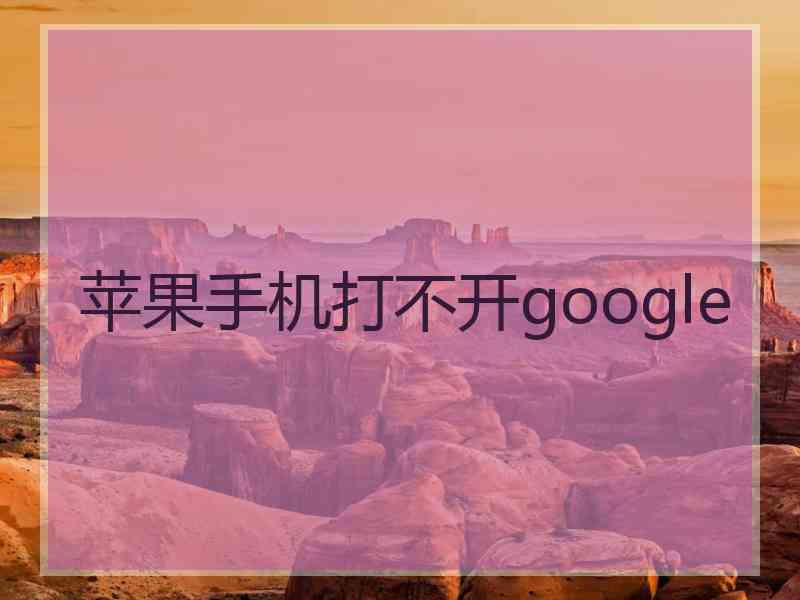 苹果手机打不开google