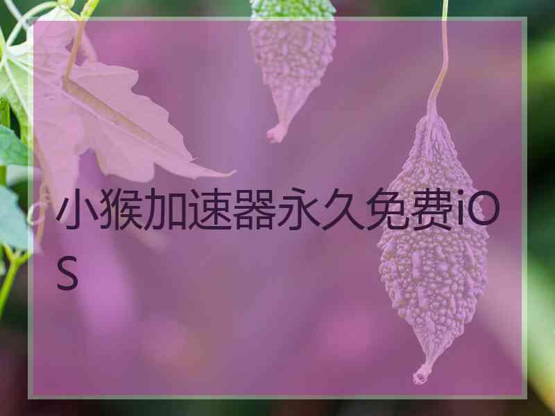 小猴加速器永久免费iOS