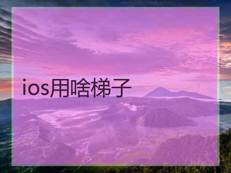 ios用啥梯子