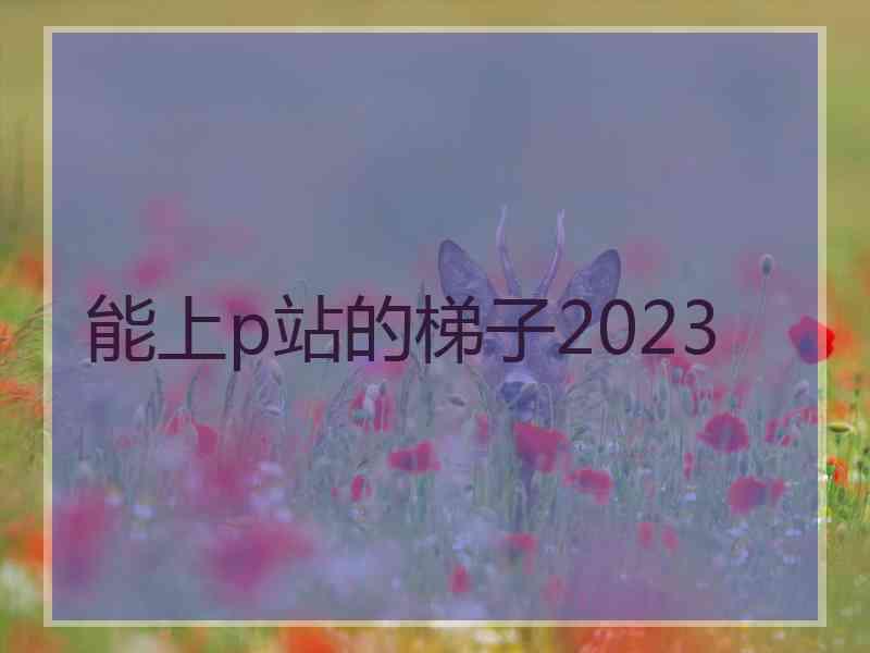 能上p站的梯子2023