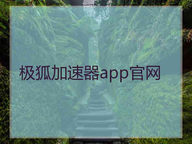 极狐加速器app官网