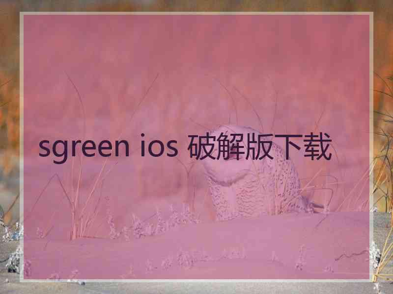 sgreen ios 破解版下载