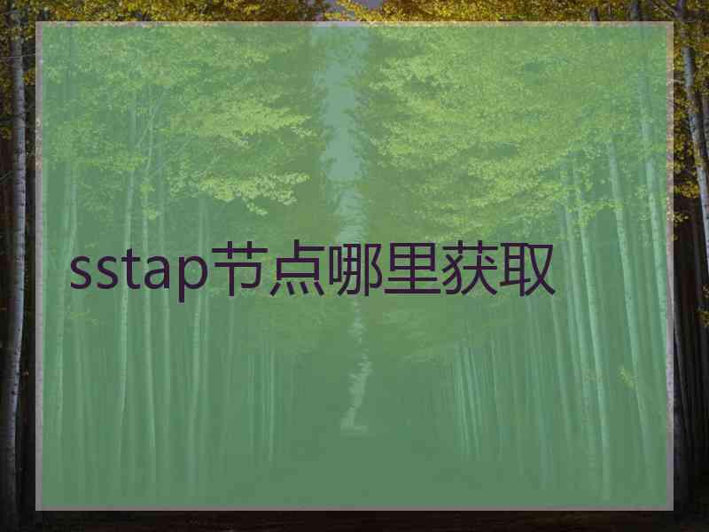 sstap节点哪里获取