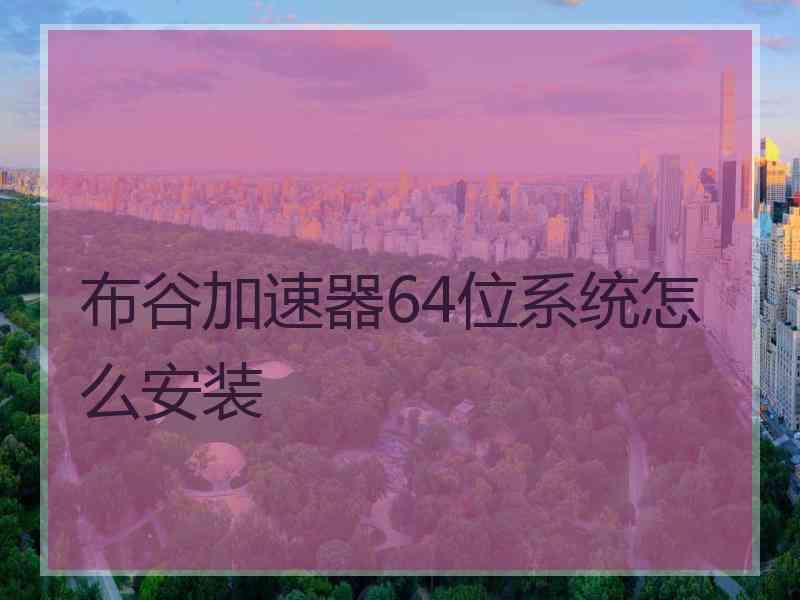 布谷加速器64位系统怎么安装