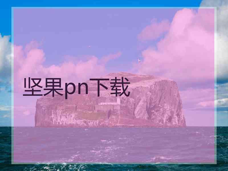 坚果pn下载