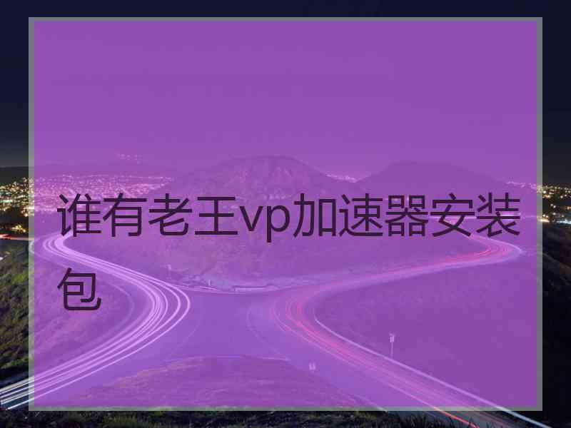 谁有老王vp加速器安装包