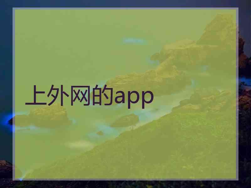 上外网的app