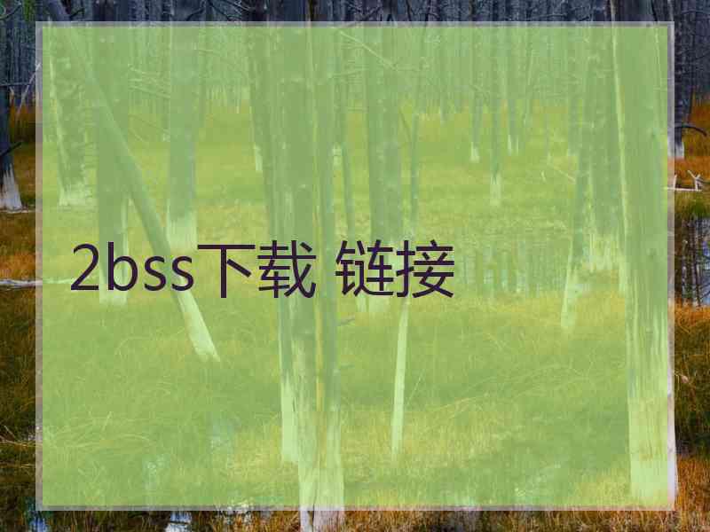 2bss下载 链接