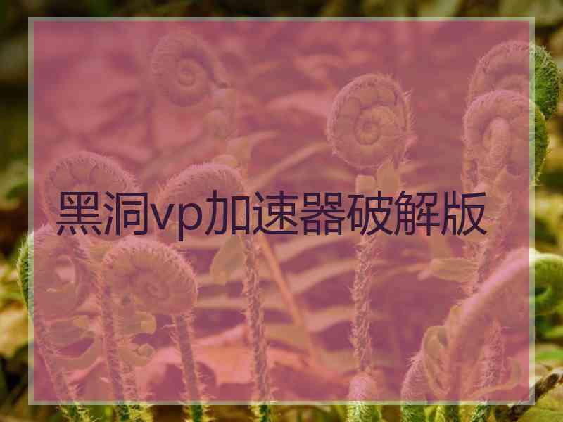 黑洞vp加速器破解版