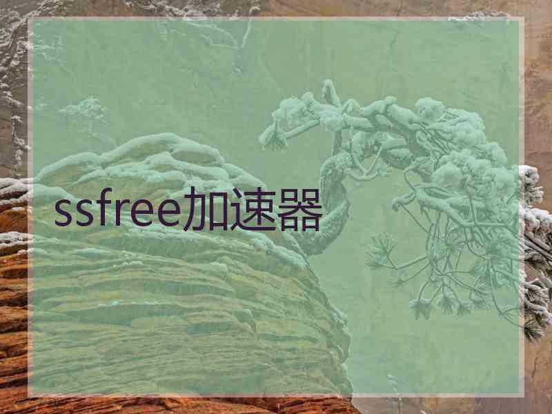 ssfree加速器