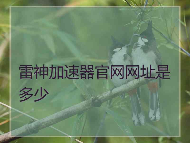 雷神加速器官网网址是多少