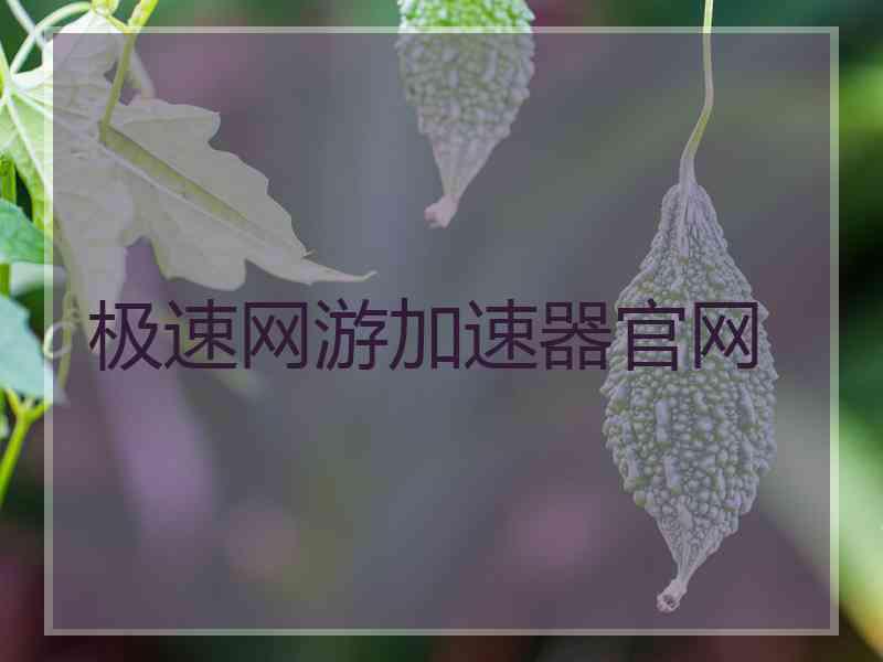 极速网游加速器官网