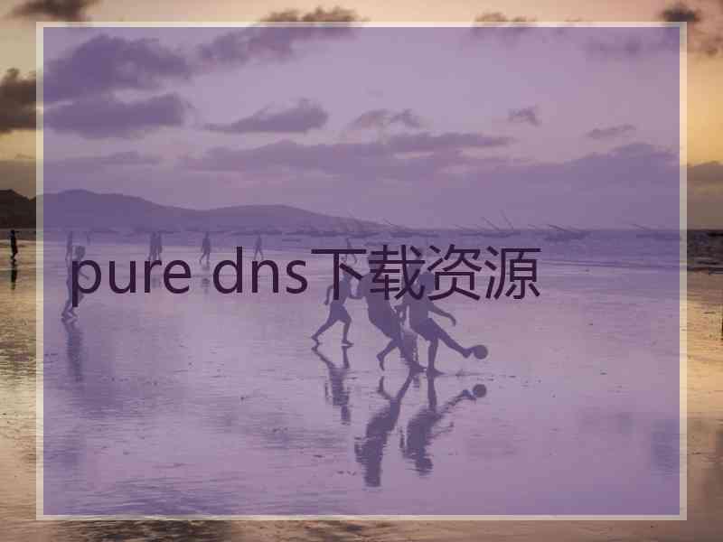 pure dns下载资源