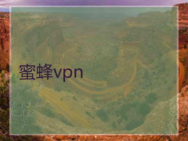 蜜蜂vpn