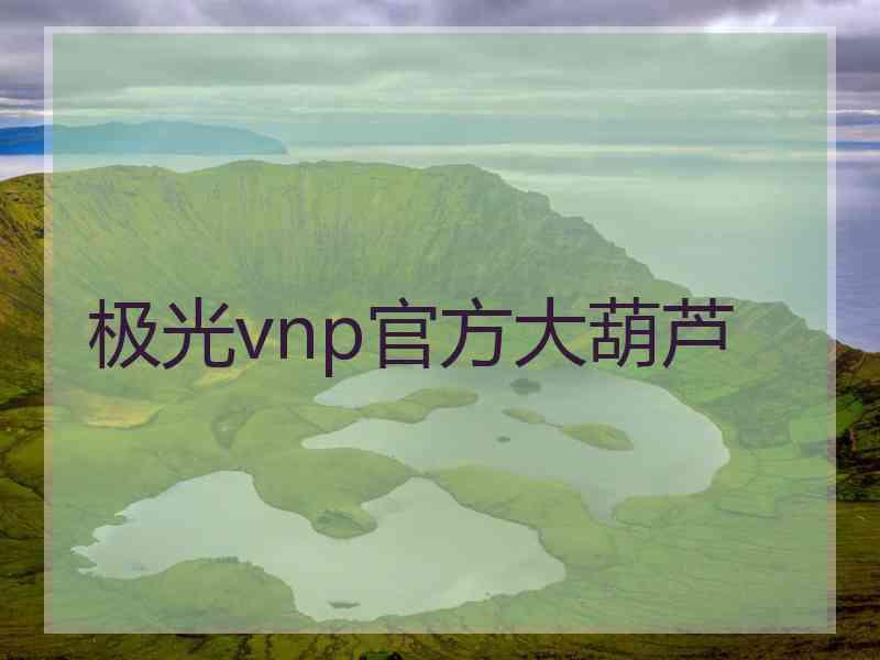 极光vnp官方大葫芦