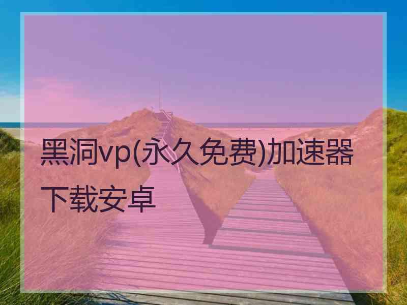 黑洞vp(永久免费)加速器下载安卓