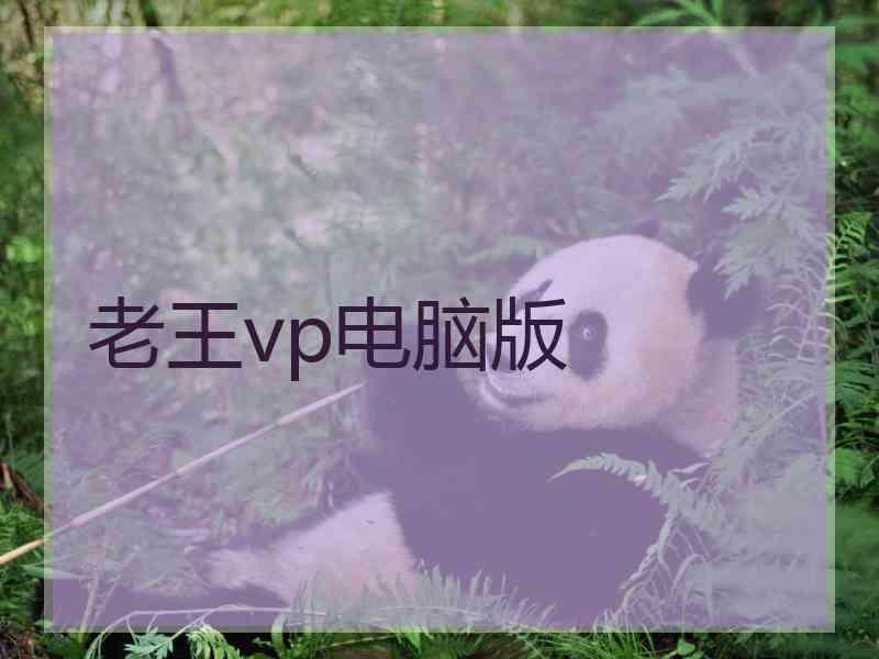 老王vp电脑版