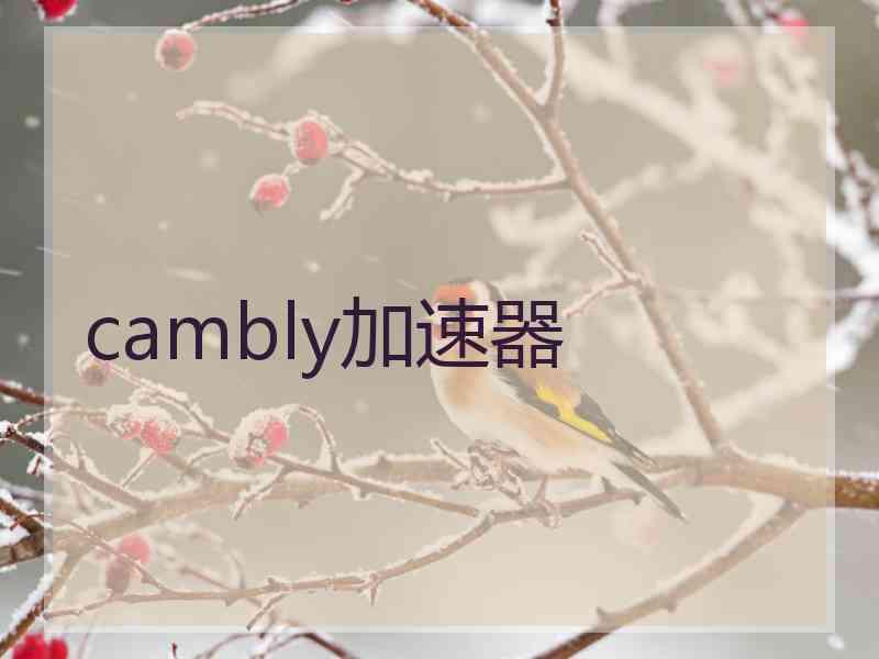 cambly加速器