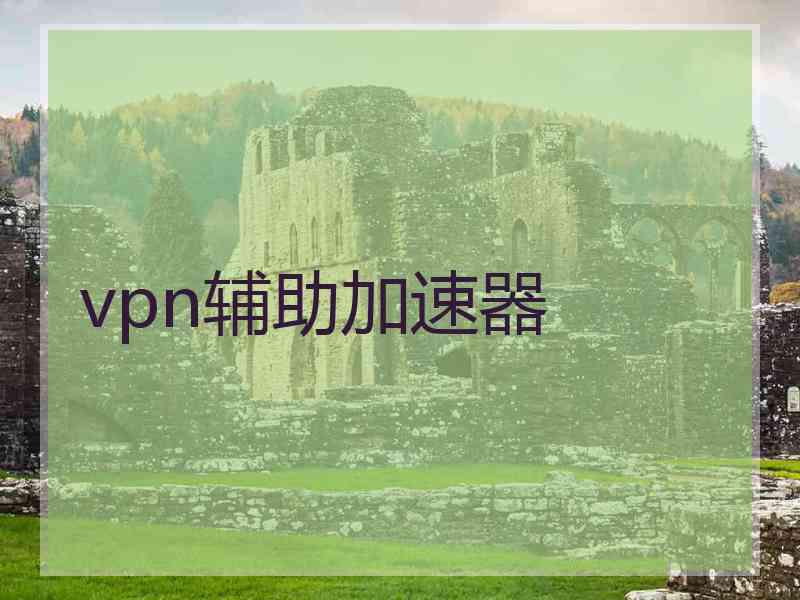 vpn辅助加速器