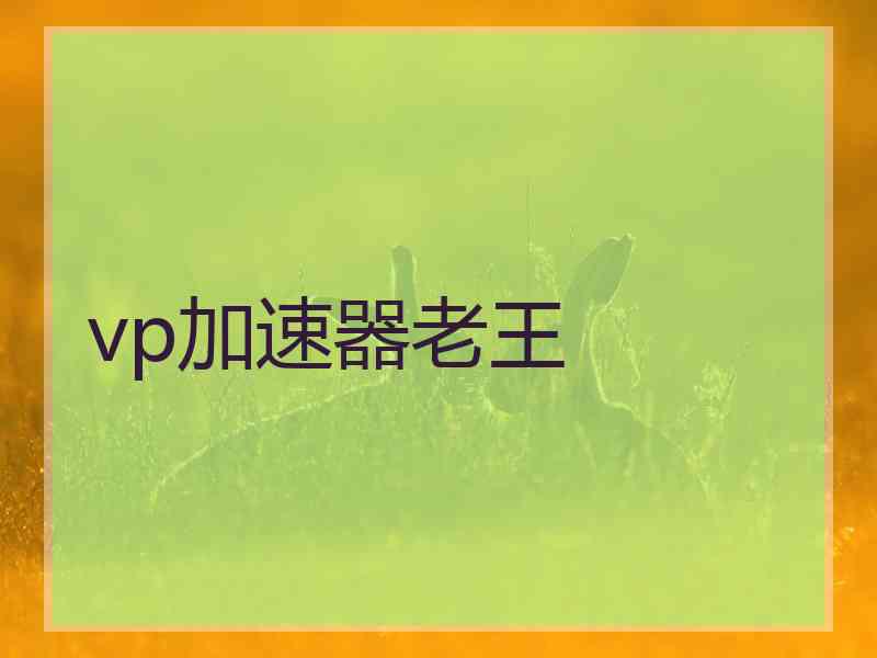 vp加速器老王