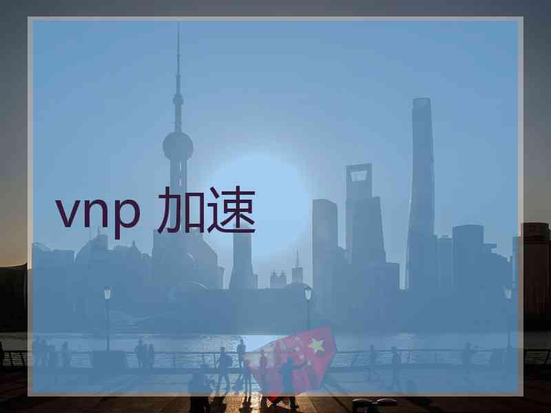 vnp 加速