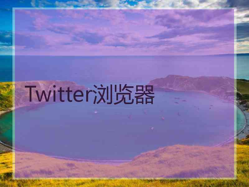 Twitter浏览器