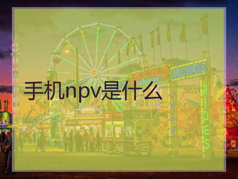 手机npv是什么