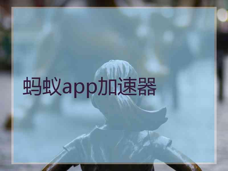 蚂蚁app加速器