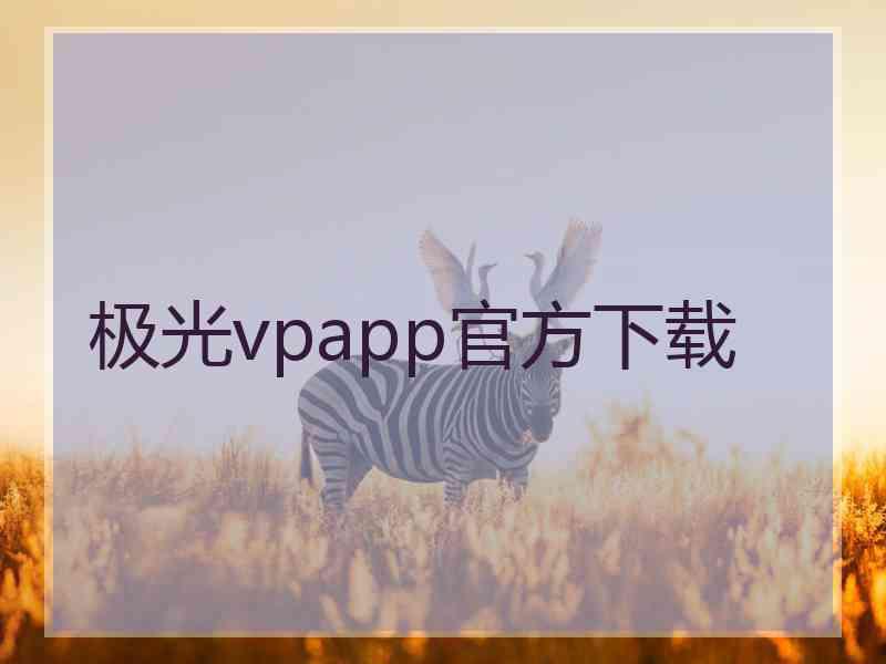 极光vpapp官方下载