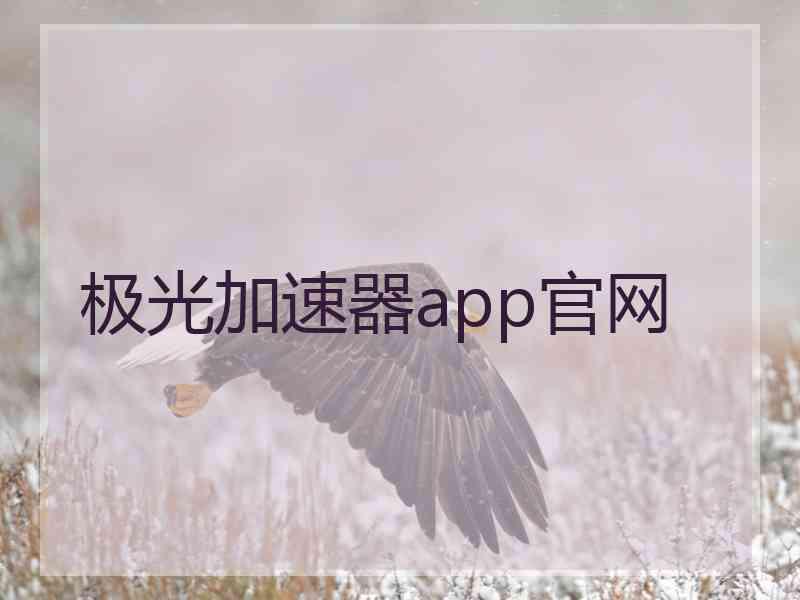 极光加速器app官网