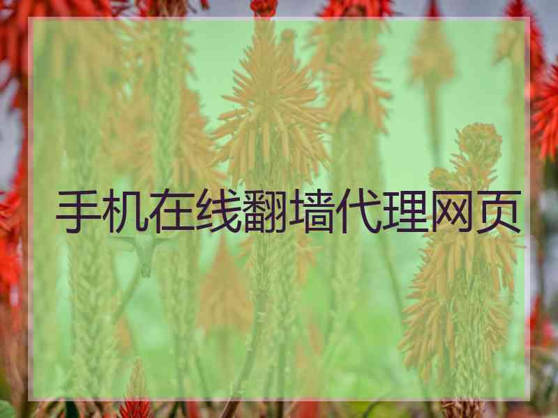 手机在线翻墙代理网页