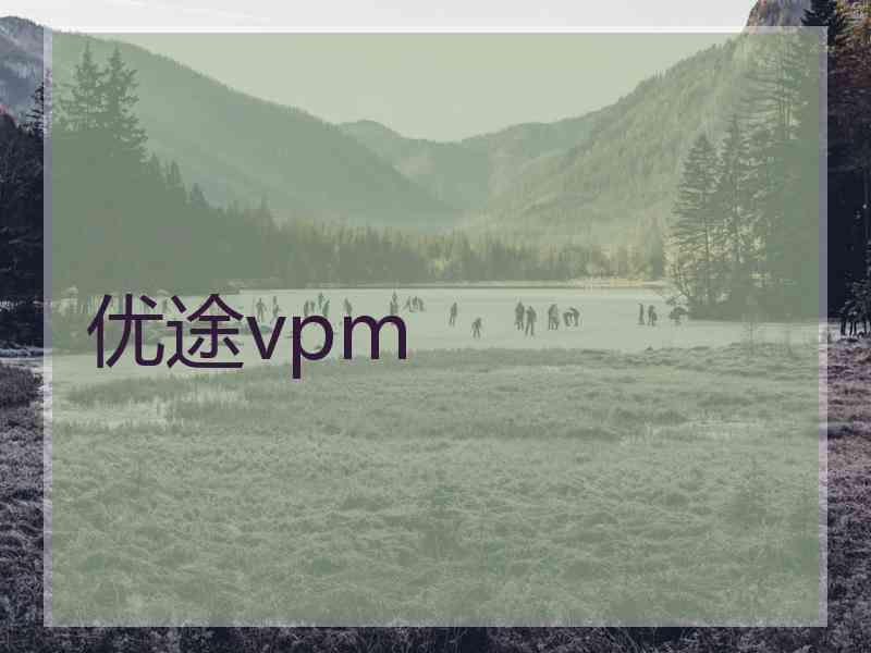 优途vpm