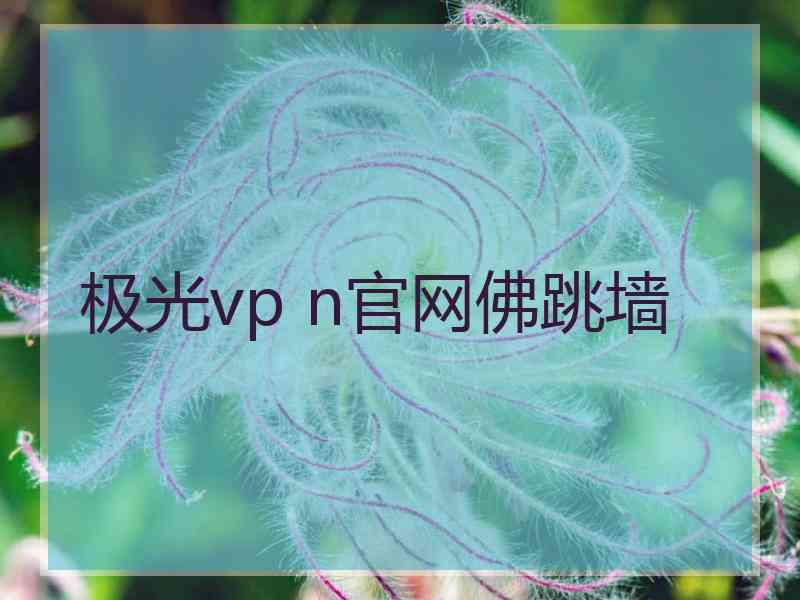 极光vp n官网佛跳墙