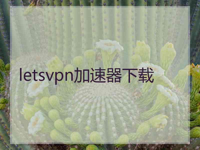 letsvpn加速器下载