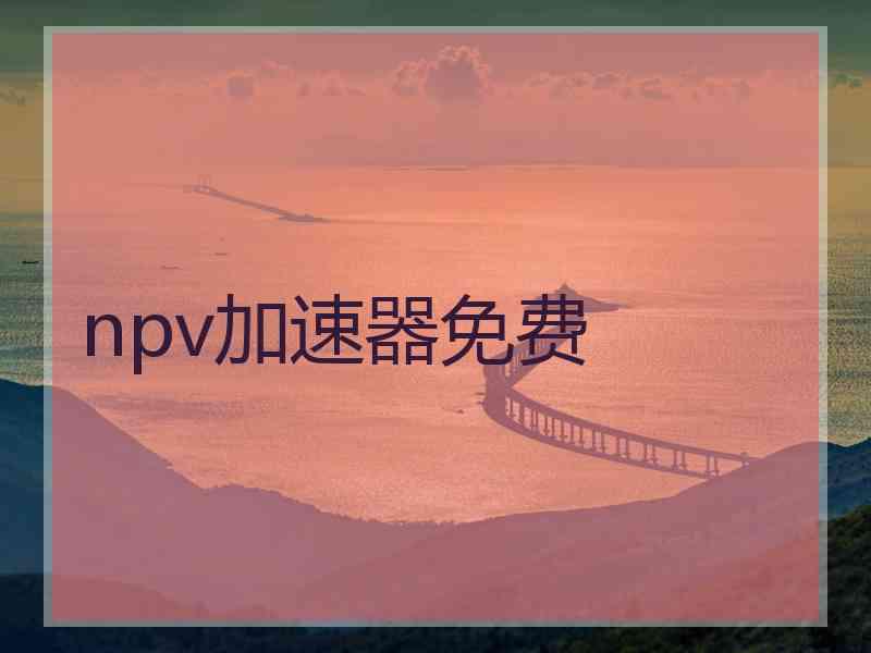 npv加速器免费