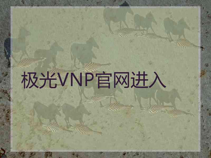 极光VNP官网进入