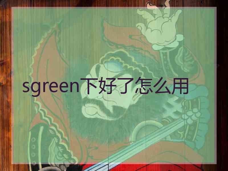 sgreen下好了怎么用