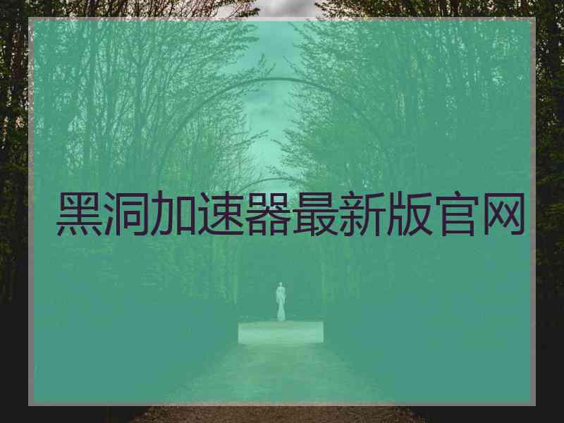 黑洞加速器最新版官网