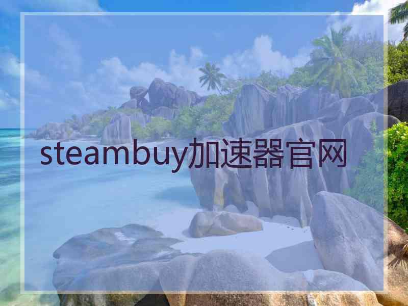 steambuy加速器官网