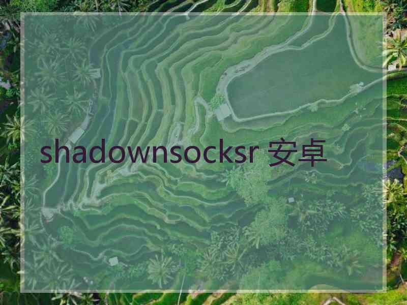 shadownsocksr 安卓