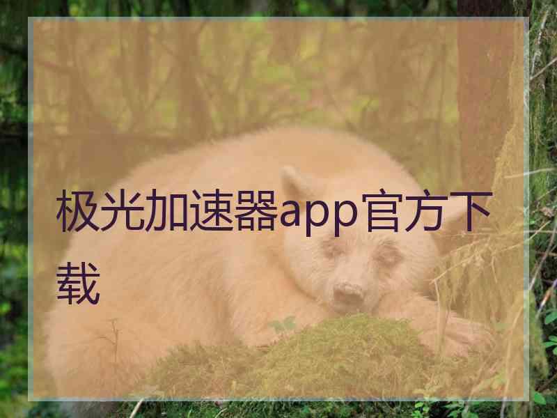 极光加速器app官方下载