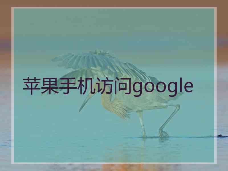 苹果手机访问google