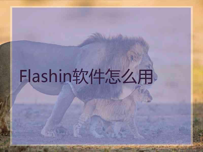 Flashin软件怎么用