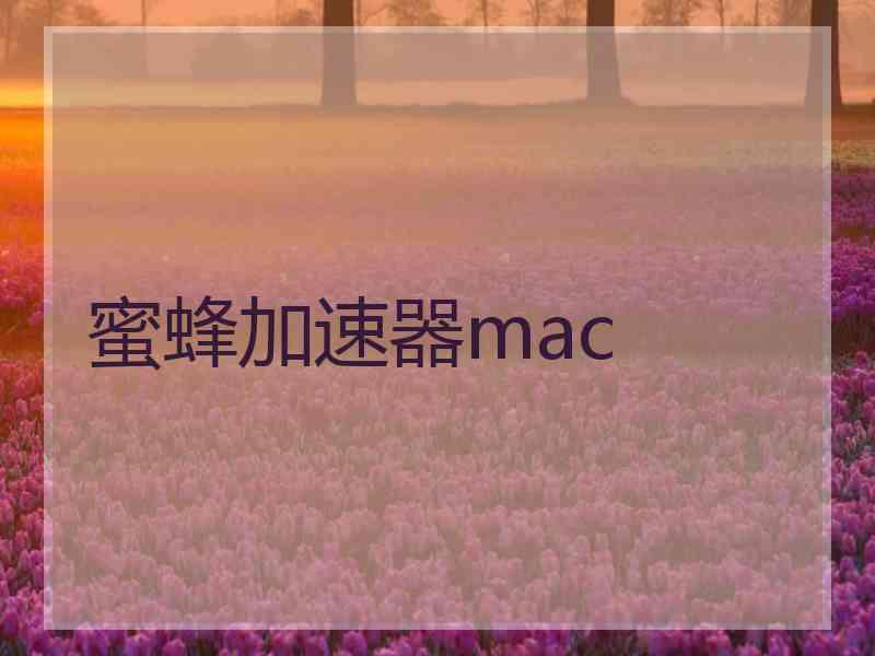 蜜蜂加速器mac