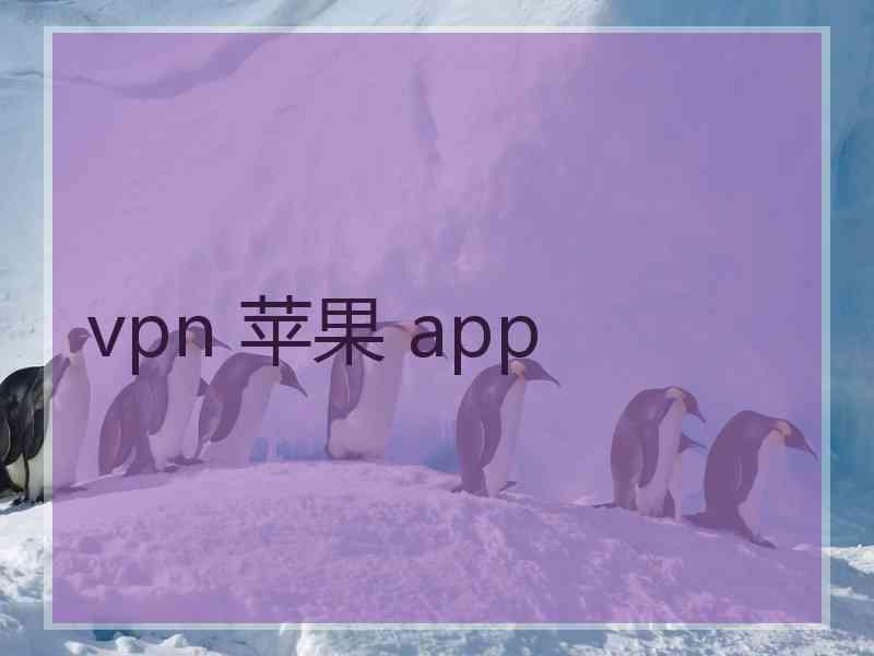 vpn 苹果 app