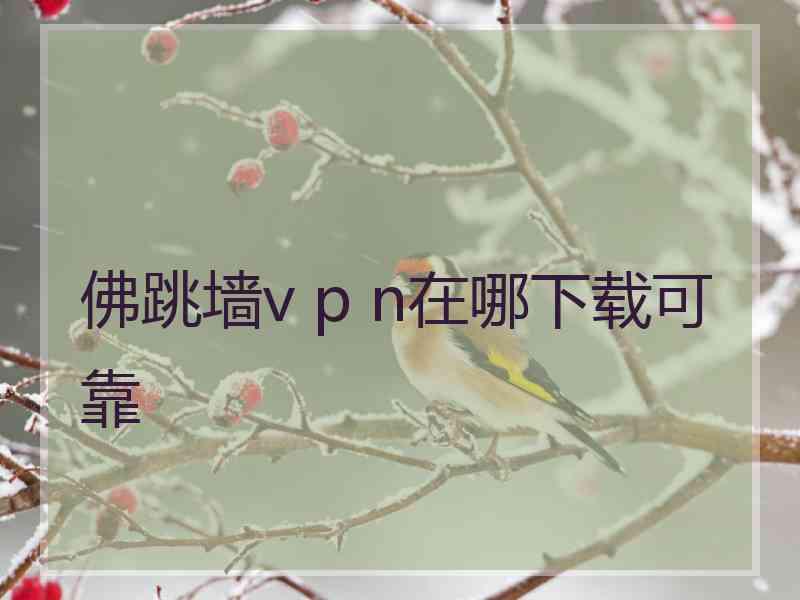 佛跳墙v p n在哪下载可靠